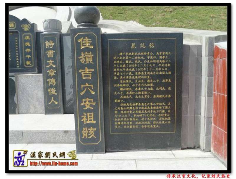 013-8.jpg