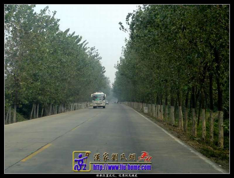 008-2.jpg