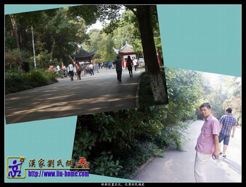 015-9.jpg