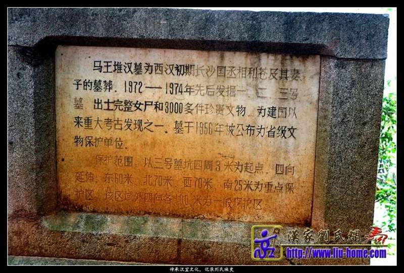 016-7.jpg