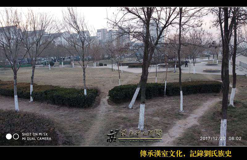 002-7.jpg