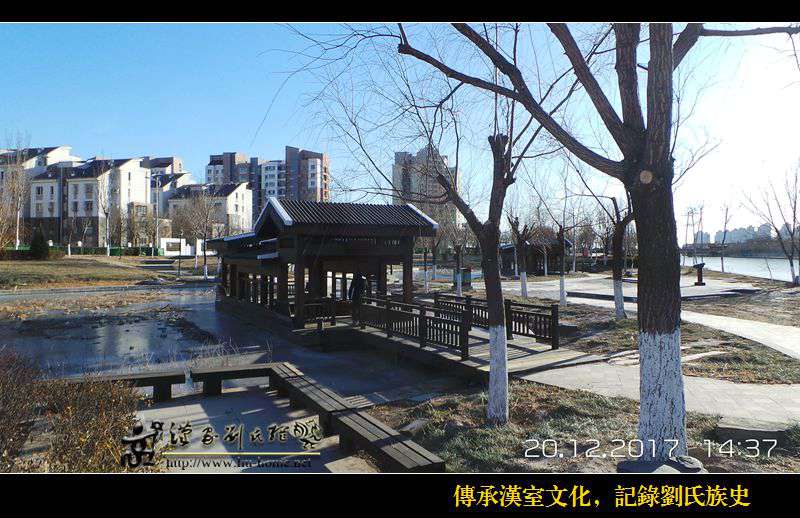 006-6.jpg